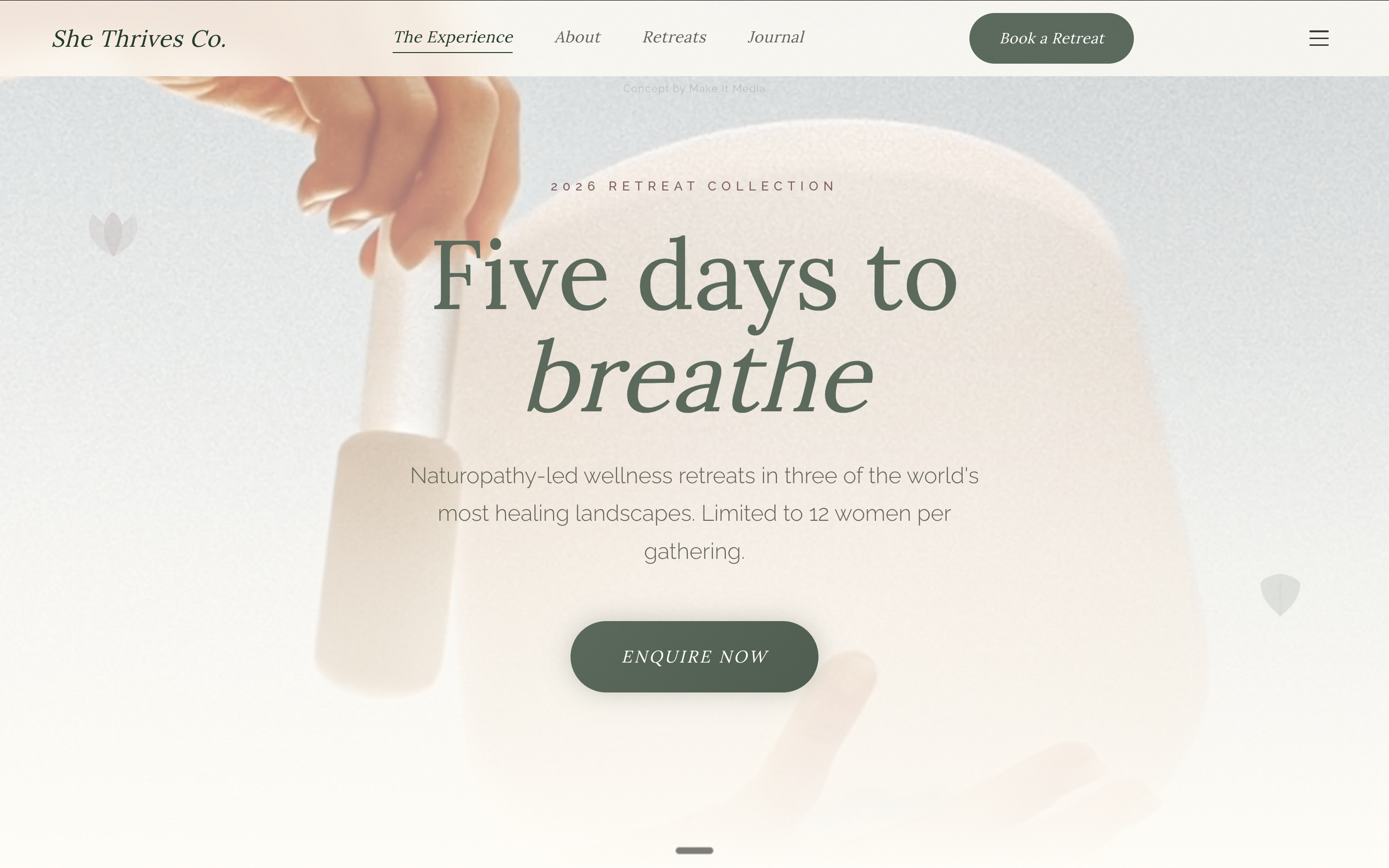 She Thrives Co. website preview